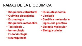 RAMAS DE LA BIOQUIMICA
• Bioquímica estructural
• Química bioorgánica
• Enzimología
• Bioquímica metabólica
• Toxicología .
• Inmunología
• Endocrinología
• Neuroquímica

• Quimiotaxonomía
• Virología
• Genética molecular e
ingeniería genética
• Biología Molecular
• Biología celular

 