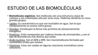 ESTUDIO DE LAS BIOMOLÉCULAS
• Biomoléculas orgánicas: Son moléculas con una estructura a base de
carbono y son sintetizadas sólo por seres vivos. Podemos dividirlas en cinco
grandes grupos.
• Lípidos: Su característica es que son insolubles en agua. Son lo que
coloquialmente se conoce como grasas.
• Glúcidos: Constituyen la forma más primitiva de almacenamiento
energético.
• Proteínas. Están compuestas por cadenas lineales de aminoácidos, y son el
tipo de biomolécula más diversa que existe.
• Ácido nucleico. Son el ADN y ARN. Son macromoléculas formadas por
nucleótidos unidos por enlaces.
• Vitaminas. Estas son usadas en algunas reacciones enzimáticas como
cofactores.

 