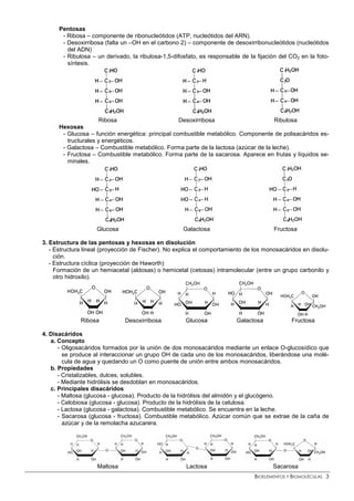BIOELEMENTOS Y BIOMOLÉCULAS 3
Pentosas
- Ribosa – componente de ribonucleótidos (ATP, nucleótidos del ARN).
- Desoxirribosa (falta un –OH en el carbono 2) – componente de desoxirribonucleótidos (nucleótidos
del ADN)
- Ribulosa – un derivado, la ribulosa-1,5-difosfato, es responsable de la fijación del CO2 en la foto-
síntesis.
Ribosa Desoxirribosa Ribulosa
Hexosas
- Glucosa – función energética: principal combustible metabólico. Componente de polisacáridos es-
tructurales y energéticos.
- Galactosa – Combustible metabólico. Forma parte de la lactosa (azúcar de la leche).
- Fructosa – Combustible metabólico. Forma parte de la sacarosa. Aparece en frutas y líquidos se-
minales.
Glucosa Galactosa Fructosa
3. Estructura de las pentosas y hexosas en disolución
- Estructura lineal (proyección de Fischer). No explica el comportamiento de los monosacáridos en disolu-
ción.
- Estructura cíclica (proyección de Haworth)
Formación de un hemiacetal (aldosas) o hemicetal (cetosas) intramolecular (entre un grupo carbonilo y
otro hidroxilo).
Ribosa Desoxirribosa Glucosa Galactosa Fructosa
4. Disacáridos
a. Concepto
- Oligosacáridos formados por la unión de dos monosacáridos mediante un enlace O-glucosídico que
se produce al interaccionar un grupo OH de cada uno de los monosacáridos, liberándose una molé-
cula de agua y quedando un O como puente de unión entre ambos monosacáridos.
b. Propiedades
- Cristalizables, dulces, solubles.
- Mediante hidrólisis se desdoblan en monosacáridos.
c. Principales disacáridos
- Maltosa (glucosa - glucosa). Producto de la hidrólisis del almidón y el glucógeno.
- Celobiosa (glucosa - glucosa). Producto de la hidrólisis de la celulosa.
- Lactosa (glucosa - galactosa). Combustible metabólico. Se encuentra en la leche.
- Sacarosa (glucosa - fructosa). Combustible metabólico. Azúcar común que se extrae de la caña de
azúcar y de la remolacha azucarera.
Maltosa Lactosa Sacarosa
 