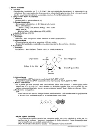 BIOELEMENTOS Y BIOMOLÉCULAS 9
D. Ácidos nucleicos
1. Concepto
- Biomoléculas constituidas por C, H, O, N y P. Son macromoléculas formadas por la polimerización de
nucleótidos. Son responsables del almacenamiento, interpretación y transmisión de la información gené-
tica. Se encuentran normalmente asociados a proteínas, formando nucleoproteínas.
2. Componentes de los nucleótidos
a. Pentosas
- Ribosa (ARN) y desoxirribosa (ADN)
b. Bases nitrogenadas
- Compuestos heterocíclicos de C y N de carácter básico
Bases pirimidínicas
- Citosina (ARN y ADN), Uracilo (ARN) y Timina (ADN)
Bases púricas
- Adenina (ARN y ADN) y Guanina (ARN y ADN)
c. Ácido fosfórico - (H3PO4)
3. Nucleósidos
a. Concepto
- Pentosa + Base nitrogenada unidos mediante un enlace N-glucosídico.
b. Nomenclatura
- Ribonucleósidos: adenosina, guanosina, citidina y uridina.
- Desoxirribonucleósidos: desoxiadenosina, desoxiguanosina, desoxicitidina y timidina.
4. Nucleótidos
a. Concepto
- Nucleósido + A.ortofosfórico. Ésteres fosfóricos de los nucleósidos.
Grupo fosfato
Enlace de tipo éster
Base nitrogenada
Enlace N-glucosídico
Pentosa
b. Nomenclatura
- Ribonucleótidos: AMP (adenosina monofosfato), GMP, CMP Y UMP.
- Desoxirribonucleótidos: dAMP (desoxiadenosina monofosfato), dGMP, dCMP Y dTMP.
c. Enlace fosfodiéster
- Es el enlace que sirve de unión entre los nucleótidos de un ácido nucleico. El mismo grupo fosfato
esterifica al –OH en posición 3’ de un nucleótido y al –OH en posición 5’ de otro nucleótido. En una
cadena polinucleotídica habrá siempre un extremo con el grupo 3’ libre y el otro con el grupo 5’ libre.
d. Nucleótidos no nucleicos
ATP
- Moléculas con una elevada energía química potencial debido a los enlaces entre los grupos fosfa-
to. Actúan como vectores energéticos en las reacciones metabólicas.
NADPH (agente reductor)
- Coenzimas de las deshidrogenasas que intervienen en las reacciones metabólicas en las que hay
transferencia de protones y electrones (reacciones de óxido-reducción). Todos ellos pueden apa-
recer en dos formas, una oxidada y otra reducida.
- NADP (Nicotinadenindinucleótido-fosfato) – derivado de la niacina (factor PP)
 