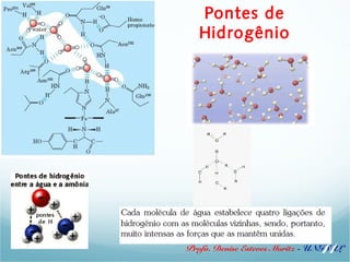 Pontes de 
Hidrogênio 
11 
Profa. Denise Esteves Moritz - UNISUL 
 