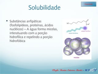 Solubilidade 
 Substâncias anfipáticas 
(fosfolipídeos, proteínas, ácidos 
nucléicos) – A água forma micelas, 
interatuando com a porção 
hidrofílica e repelindo a porção 
hidrofóbica 
Propriedade 
16 
Profa. Denise Esteves Moritz - UNISUL 
 
