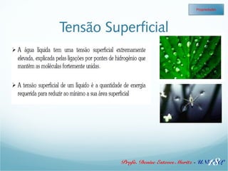 Tensão Superficial 
Propriedades 
18 
Profa. Denise Esteves Moritz - UNISUL 
 