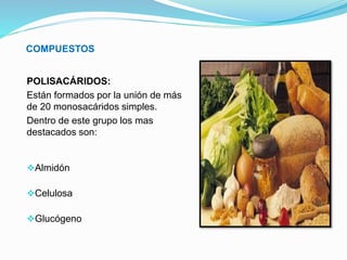 COMPUESTOS
POLISACÁRIDOS:
Están formados por la unión de más
de 20 monosacáridos simples.
Dentro de este grupo los mas
destacados son:
Almidón
Celulosa
Glucógeno
 