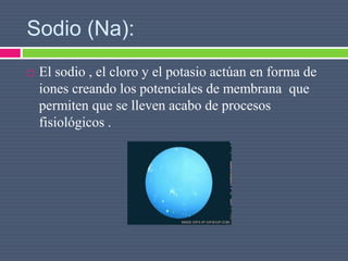 Sodio (Na):
 El sodio , el cloro y el potasio actúan en forma de
iones creando los potenciales de membrana que
permiten que se lleven acabo de procesos
fisiológicos .
 
