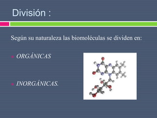 División :
Según su naturaleza las biomoléculas se dividen en:
 ORGÁNICAS
 INORGÁNICAS.
 