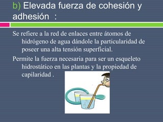 b) Elevada fuerza de cohesión y
adhesión :
Se refiere a la red de enlaces entre átomos de
hidrógeno de agua dándole la particularidad de
poseer una alta tensión superficial.
Permite la fuerza necesaria para ser un esqueleto
hidrostático en las plantas y la propiedad de
capilaridad .
 