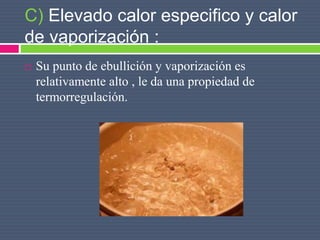 C) Elevado calor especifico y calor
de vaporización :
 Su punto de ebullición y vaporización es
relativamente alto , le da una propiedad de
termorregulación.
 