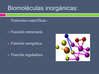 Biomoléculas inorgánicas:
 Funciones especificas :
Función estructural.
Función energética.
Función reguladora.
 