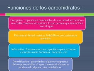 Funciones de los carbohidratos :
Energética : representan combustible de uso inmediato debido a
su cenilla composición química lo que permite que interactúen
con el agua.
Estructural formal matrices hidrófilicas con resistencia
mecánica.
Informativa :forman estructuras capacitadas para reconocer
elementos como hormonas , bacterias , etc.
Detoxificacion : para eliminar algunos compuestos
tóxicos poco solubles al agua como resultado que se
producen de algunas rutas metabólicas .
 