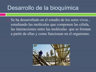 Desarrollo de la bioquímica
 Se ha desarrollado en el estudio de los seres vivos ,
estudiando las moléculas que componen las célula,
las interacciones entre las moléculas que se forman
a partir de ellas y como funcionan en el organismo.
 