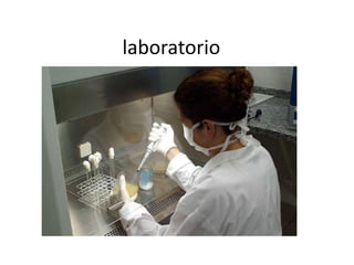 laboratorio
 