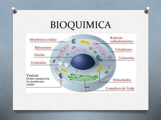 BIOQUIMICA