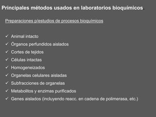Preparaciones p/estudios de procesos bioquímicos
 Animal intacto
 Órganos perfundidos aislados
 Cortes de tejidos
 Células intactas
 Homogeneizados
 Organelas celulares aisladas
 Subfracciones de organelas
 Metabolitos y enzimas purificados
 Genes aislados (incluyendo reacc. en cadena de polimerasa, etc.)
Principales métodos usados en laboratorios bioquímicos.
 