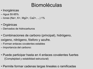 Biomoléculas
• Inorgánicas
– Agua 50-95%
– Iones (Na+, K+, Mg2+, Ca2+, ...) 1%
• Orgánicas
– Derivados de hidrocarburos
• Combinaciones de carbono (principal), hidrógeno,
oxígeno, nitrógeno, fósforo y azufre.
– Forman enlaces covalentes estables
– Importancia del carbono:
• Puede participar hasta en 4 enlaces covalentes fuertes
(Complejidad y estabilidad estructural)
• Permite formar cadenas largas lineales o ramificadas
 