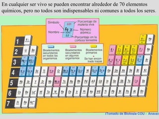 En cualquier ser vivo se pueden encontrar alrededor de 70 elementos
químicos, pero no todos son indispensables ni comunes a todos los seres.
 