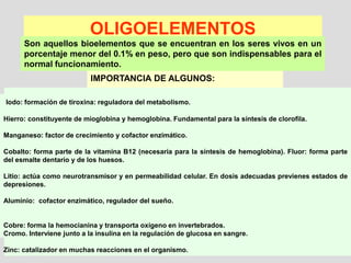 OLIGOELEMENTOS
Son aquellos bioelementos que se encuentran en los seres vivos en un
porcentaje menor del 0.1% en peso, pero que son indispensables para el
normal funcionamiento.
IMPORTANCIA DE ALGUNOS:
Iodo: formación de tiroxina: reguladora del metabolismo.
Hierro: constituyente de mioglobina y hemoglobina. Fundamental para la síntesis de clorofila.
Manganeso: factor de crecimiento y cofactor enzimático.
Cobalto: forma parte de la vitamina B12 (necesaria para la síntesis de hemoglobina). Fluor: forma parte
del esmalte dentario y de los huesos.
Litio: actúa como neurotransmisor y en permeabilidad celular. En dosis adecuadas previenes estados de
depresiones.
Aluminio: cofactor enzimático, regulador del sueño.
Cobre: forma la hemocianina y transporta oxígeno en invertebrados.
Cromo. Interviene junto a la insulina en la regulación de glucosa en sangre.
Zinc: catalizador en muchas reacciones en el organismo.
 