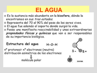 EL AGUA
 