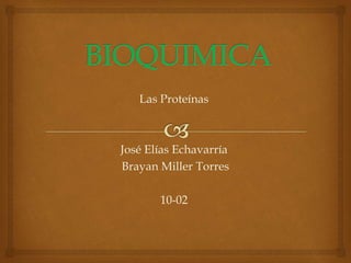 Las Proteínas
José Elías Echavarría
Brayan Miller Torres
10-02
 