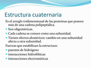 Estructura cuaternaria
Es el arreglo tridimensional de las proteínas que poseen
más de una cadena polipeptídica.
 Son oligoméricas.
 Cada cadena se conoce como una subunidad.
 Tienen efectos alostéricos: cambio en una subunidad
afecta a otra subunidad.
Fuerzas que estabilizan la estructura:
 puentes de hidrógeno
 interacciones hidrofóbicas
 interacciones electrostáticas
 