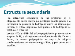 Estructura secundaria
La estructura secundaria de las proteínas es el
plegamiento que la cadena polipeptídica adopta gracias a la
formación de puentes de hidrógeno entre los átomos que
forman el enlace peptídico. Los puentes de hidrógeno se
establecen entre los
grupos -CO- y -NH- del enlace peptídico(el primero como
aceptor de H, y el segundo como donador de H). De esta
forma, la cadena polipeptídica es capaz de adoptar
conformaciones de menor energía libre, y por tanto, más
estables.
 