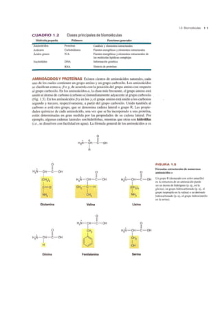 CUADRO 1 .2
Molécula pequeña
Aminoácidos
Azúcares
Ácidos grasos
Nucleótidos
Clases principales de biomoléculas
Polímero
Proteínas
Carbohidratos
N.A.
DNA
RNA
Funciones generales
Catálisis y elementos estructurales
Fuentes energéticas y elementos estructurales
Fuentes energéticas y elementos estructurales de
las moléculas lipídicas complejas
Información genética
Síntesis de proteínas
AMINOÁCIDOS Y PROTEíNAS Existen cientos de aminoácidos naturales, cada
uno de los cuales contienen un grupo amino y un grupo carboxilo. Los aminoácidos
se clasifican como a, f3 o y, de acuerdo con la posición del grupo amino con respecto
al grupo carboxilo. En los aminoácidos a, la clase más frecuente, el grupo amino está
unido al átomo de carbono (carbono a) inmediatamente adyacente al grupo carboxilo
(Fig. 1.5). En los aminoácidos f3 y en los y, el grupo amino está Unido a los carbonos
segundo y tercero, respectivamente, a partir del grupo carboxilo. Unido también al
carbono a está otro grupo, que se denomina cadena lateral o grupo R. Las propie-
dades químicas de cada aminoácido, una vez que se ha incorporado a una proteína,
están determinadas en gran medida por las propiedades de su cadena lateral. Por
ejemplo, algunas cadenas laterales son hidrófobas, mientras que otras son hidrófilas
(Le., se disuelven con facilidad en agua). La fórmula general de los aminoácidos a es
o
+ 11
H N-CH-C-OH
3 1
(CH2)2
1
C=O
1
NH2
Glutamina
o
+ 11
H N-CH-C-OH
3 1
H
Glicina
o
+ a. 1I
H N-CH-C-OH
3 1
R
o
+ 11
H N-CH-C-OH
3 1
CH -C-H
3 1
CH3
Valina
o
+ 11
H N-CH-C-OH
3 1
OFenilalanina
Lisina
o
+ 11
H N-CH-C-OH
3 1
CH2
1
OH
Serina
1.3 Biomoléculas 1 1
FIGURA 1 .5
Fórmulas estructurales de numerosos
aminoácidos a
Un grupo R (destacado con color amarillo)
en la estructura de un aminoácido puede
ser un átomo de hidrógeno (p. ej., en la
glicina), un grupo hidrocarbonado (p. ej., el
grupo isopropilo en la valina) o un derivado
hidrocarbonado (p. ej., el grupo hidroximetilo
en la serina).
 