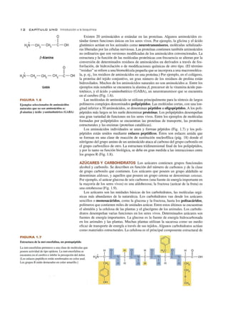 1 2 CAPíTU LO U N O Introducción a la bioquímica
~-Alanina
o
+ 11
H3
N-CH2
-CH2
- CH2
-C-OH
GABA
FIGURA 1 .6
Ejemplos seleccionados de aminoácidos
naturales que no son aminoácidos oc:
p-alanina y ácido 'Y·aminobutírico (GABA)
FIGURA 1.7
Existen 20 aminoácidos ex estándar en las proteínas. Algunos aminoácidos es-
tándar tienen funciones únicas en los seres vivos. Por ejemplo, la glicina y el ácido
glutámico actúan en los animales como neurotransmisores, moléculas señalizado-
ras liberadas por las células nerviosas. Las proteínas contienen también aminoácidos
no ordinarios que son versiones modificadas de los aminoácidos convencionales. La
estructura y la función de las moléculas proteínicas con frecuencia se alteran por la
conversión de determinados residuos de aminoácidos en derivados a través de fos-
forilación, de hidroxilación o de modificaciones químicas de otro tipo. (El término
"residuo" se refiere a una biomolécula pequeña que se incorpora a una macromolécu-
la, p. ej., los residuos de aminoácidos en una proteína.) Por ejemplo, en el colágeno,
la proteína del tejido conjuntivo, un gran número de los residuos de prolina están
hidroxilados. Muchos de los aminoácidos naturales no son aminoácidos ex. Entre los
ejemplos más notables se encuentra la alanina (3, precursor de la vitamina ácido pan-
toténico, y el ácido y-aminobutírico (GABA), un neurotransmisor que se encuentra
en el cerebro (Fig. 1.6).
Las moléculas de aminoácido se utilizan principalmente para la síntesis de largos
polímeros complejos denominados polipéptidos. Las moléculas cortas, con una lon-
gitud inferior a 50 aminoácidos, se denominan péptidos u oligopéptidos. A los poli-
péptidos más largos se les suele denominar proteínas. Los polipéptidos desempeñan
una gran variedad de funciones en los seres vivos. Entre los ejemplos de moléculas
formadas por polipéptidos se encuentran las proteínas de transporte, las proteínas
estructurales y las enzimas (proteínas catalíticas).
Los aminoácidos individuales se unen y forman péptidos (Fig. 1.7) Y los poli-
péptidos están unidos mediante enlaces peptídicos. Éstos son enlaces amida que
se forman en una clase de reacción de sustitución nucleofílica (pág. 18) donde el
nitrógeno del grupo amino de un aminoácido ataca al carbono del grupo carbonilo en
el grupo carboxílico de otro. La estructura tridimensional final de los polipéptidos,
y por lo tanto su función biológica, se debe en gran medida a las interacciones entre
los grupos R (Fig. 1.8).
AZÚCARES Y CARBOHIDRATOS Los azúcares contienen grupos funcionales
alcohol y carbonilo. Se describen en función del número de carbonos y de la clase
de grupo carbonilo que contienen. Los azúcares que poseen un grupo aldehído se
denominan aldosas, y aquellos que poseen un grupo cetona se denominan cetosas.
Por ejemplo, el azúcar glucosa de seis carbonos (una fuente de energía importante en
la mayoría de los seres vivos) es una aldohexosa; la fructosa (azúcar de la fruta) es
una cetohexosa (Fig. 1.9).
Los azúcares son las unidades básicas de los carbohidratos, las moléculas orgá-
nicas más abundantes de la naturaleza. Los carbohidratos van desde los azúcares
sencillos o monosacáridos, como la glucosa y la fructosa, hasta los polisacáridos,
polímeros que contienen miles de unidades azúcar. Entre estos últimos se encuentran
el almidón y la celulosa de las plantas y el glucógeno de los animales. Los carbohi-
dratos desempeñan varias funciones en los seres vivos. Determinados azúcares son
fuentes de energía importantes. La glucosa es la fuente de energía hidrocarbonada
en los animales y las plantas. Muchas plantas utilizan la sacarosa como un medio
eficaz de transporte de energía a través de sus tejidos. Algunos carbohidratos actúan
como materiales estructurales. La celulosa es el principal componente estructural de
Estructura de la met-encefalina, un pentapéptido
La met-encefalina pertenece a una clase de moléculas que
poseen actividad de tipo opiácea. La met-encefalina se
encuentra en el cerebro e inhibe la percepción del dolor.
(Los enlaces peptídicos están sombreados en color azul.
Los grupos R están destacados en color amarillo.)
 