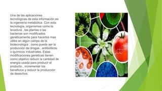 Una de las aplicaciones
tecnológicas de esta información es
la ingeniería metabólica. Con esta
tecnología, organismos como la
levadura , las plantas o las
bacterias son modificados
genéticamente para hacerlos mas
útiles en algún campo de la
biotecnología , como puede ser la
producción de drogas , antibióticos
o químicos industriales. Estas
modificaciones genéticas tienen
como objetivo reducir la cantidad de
energía usada para producir el
producto , incrementar los
beneficios y reducir la producción
de desechos.
 