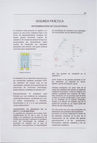 SEGUNDA PRÁCTICA
DETERMINACIÓN DE COLESTEROL
15
El colesterol está presente en tejidos y en
plasma ya sea como colesterol libre o en
forma de almacenamiento combina con
ácidos grasos formando esteres de
colesterol. En el plasma ambas formas son
transportados por lipoproteínas; estos
medios de transporte son paquetes
globulares que poseen una parte proteica
conocida como apoproteínas. 1
El colesterol es un elemento esencial para
las membranas celulares animales (90%
del colesterol del cuerpo esta en las
membranas), además sirve para formar las
estructuras de hormonas esteroideas,
ácidos biliares y sintetizar la vitamina D3. 2
Estructuralmente el colesterol esta
formado por una molécula de ciclopenta-
noperhidrofenantreno, constituida por cua-
tro anillos condensados o fundidos,
denominados A, B, C y D, que presentan
varias sustituciones.'
COLESTEROL ES OBTENIDO DE LA
DIETA Y LA BIOSíNTESIS
La cantidad de colesterol de la dieta varía
notablemente de un día a otro, lo que
obliga a la existencia de mecanismos de
control que permitan mantener el equilibrio
entre las velocidades de síntesis y
excreción en relación con lo que es
absorbido y así garantizar la disponibilidad
de cantidades de colesterol que satisfaan
los necesidades de los distintos tejidos.
Hay dos fuentes de colesterol en el
organismo:
2
Dieta: Existe en las grasas animales no en
las vegetales, en especial en sesos,
hígado, yemas de huevos, carne.
Síntesis endógena: Un poco más de la
mitad del colesterol del cuerpo es obtenido
mediante biosíntesis. Todos los tejidos con
células nucleadas son capaces de sinte-
tizar colesterol, en un proceso que se lleva
a cabo en forma escalonada y que ocurre
en su totalidad en el retículo endoplas-
matico y el citosol. El sustrato que es el
acetil-CoA procede en su mayor parte del
interior de las mitocondrias.
Por otra parte hay dos vías principales de
eliminación del colesterol del organismo:
Excreción en forma inalterada a través de
las pérdidas celulares de la piel, de la
descamación de las células del aparato
gastrointestinal y de las secreciones:
Pancreática, aástrica, intestinal y de los
canalículos hepáticos.
 