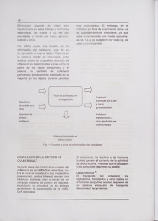 le
Eliminación después de haber sido
transformada en sales biliares u hormonas
esteroideas, las cuales a su vez son
excretadas a través del tracto gasroin-
testinal u orine.
Por último existe una tercera "la de
eliminación del colesterol, que es su
incorporación a nuevos tejidos. Esta vía en
la ersoa adulta ee pues
aunque existe un progresivo acumulo de
colesterol en determinadas zonas como la
pared de los vasos sanguíneos y el
plasme, la cantidad de colesterol
permanece prácticamente inalterada en la
mayoría de los tejidos durante periodos
Ei~
muy prolongados. Si embargo, en el
individuo en fase de crecimiento dicha vía
es cuantitativamente importante, ya que
debe incrementarse una media aproxima-
da de 1,4 g de colesterol por cada kg. de
peso corporal ganado.
=NO
Colesterol,
absorbido en la
dieta
Pool de colesterol en
el organismo
Colesterol
excretado por la piel
) y tracto
gastrointestinal
Colesterol de
síntesis
endógena
1111 Colesterol
transformado a
otros productos que
son excretados
Colesterol depositado en
tejidos nuevos
Fig. 1 Fuentes y vies de eliminación de! colesterol
SEGLJLACION DE LA SINTESIS DE
COLESTEROL'
El punto clave del control de la síntesis de
colesterol es el HMG-CoA reductasa, so-
bre la cual el colesterol o sus metaboUtos
(mevatonato, acidos biliares) ejercen una
inhibición indirecta, bien a través de un
complejo sistema de control en cascada,
modulando la velocidad de su síntesis
reprimiendo la transcripción de la HMG-
CoA reductasa.
El incremento de insulina o de hormona
tiroidea genera el aumento de la actividad
de dicha enzima, mientras que el glucagon
y los corticoides deprimen su acción.
Lipoproteínas
2,4
El transporte del colesterol, los
triglicéridos, fosfolipidos y otros lípidos en
el torrente sanguíneo acuoso requieren de
un sistema elaborado de transporte
denominado lipoproteínas.
 