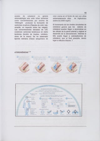 19
exceso de colesterol no genera
sintomatología solo ante cifras extremas
como concentraciones por encima de
1000mg/di producen la formación de
xantomas eruptivos (Pápulas de color rojo-
amarillo, en especial sobre las nalgas).
Las concentraciones elevadas de LDL
ocasionan xantomas tendinosos en cierto
tendones (tendón de Aquiles, rotuliano,
dorso de la mano). Se ha observado
lipemia retiniana (Vasos sanguíneos de
color crema en el fondo de ojo) con cifras
extremadamente altas de triglicéridos
(sobre los 2000 mg/dl.)
El incremento de los niveles circulantes de
colesterol genera que los esteres de
colesterol pueden llegar a acumularse en
las células de la pared arterial y originar el
desarrollo de la aterosclerosis. Además la
bilis puede llegar a sobresaturarse de
colesterol, que al final precipita, dando
lugar a cálculos biliares. 7
ATEROGÉESlS 7' 8
/
[k1
re
 