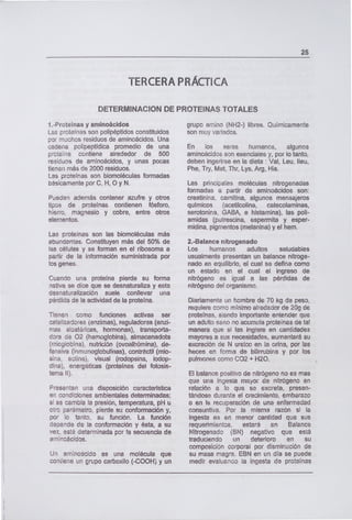 TERCERA PRÁCTICA
DETERMINACION DE PROTEINAS TOTALES
25
1.-Proteínas y aminoácidos
Las proteínas son polipéptidos constituidos
por muchos residuos de aminoácidos. Una
cadena polipeptídica promedio de una
proteína contiene alrededor de 500
residuos de aminoácidos, y unas pocas
tienen más de 2000 residuos.
Las proteínas son biomoléculas formadas
básicamente por C, H, O y N.
Pueden además contener azufre y otros
tipos de proteínas contienen fósforo,
hierro, magnesio y cobre, entre otros
elementos,
Las proteínas son las biomoléculas más
abundantes. Constituyen más del 50% de
las células y se forman en el ribosoma a
partir de la información suministrada por
los genes.
Cuando una proteína pierde su forma
nativa se dice que se desnaturaliza y esta
desnaturalización suele conllevar una
pérdida de la actividad de la proteína.
Tienen como funciones activas ser
catalizadores (enzimas), reguladores (enzi-
mas alostéricas, hormonas), transporta-
dora de 02 (hemoglobina), almacenadota
(mioglobina), nutrición (ovoalbúmina), de-
fensiva (in munoglobulinas), contráctil (mio-
sina, actina), visual (rodopsina, iodop-
dina), energéticas (proteínas del fotosis-
tema II).
Presentan una disposición característica
en condiciones ambientales determinadas;
si se cambia la presión, temperatura, pH u
otro parámetro, pierde su conformación y,
por lo tanto, su función. La función
depende de la conformación y ésta, a su
vez, está determinada por la secuencia de
aminoácidos.
Un aminoácido es una molécula que
coniiene un grupo carboxilo (-COOH) y un
grupo amino (NH2-) libres. Químicamente
son muy variados.
En los seres humanos, algunos
aminoácidos son esenciales y, por lo tanto,
deben ingerirse en la dieta : Val, Leu, Ileu,
Phe, Try, Met, Thr, Lys, Arg, His.
Las principales moléculas nitrogenadas
formadas a partir de aminoácidos son:
creatinina, carnitina, algunos mensajeros
químicos (acetilcolina, catecolaminas,
serotonina, GABA, e histamina), las poli-
amidas (putrescina, espermita y esper-
midina, pigmentos (melanina) y el hem.
2.-Balance nitrogenado
Los humanos adultos saludables
usualmente presentan un balance nitroge-
nado en equilibrio, el cual se define como
un estado en el cual el ingreso de
nitrógeno es igual a las pérdidas de
nitrógeno del organismo.
Diariamente un hombre de 70 kg de peso,
requiere como mínimo alrededor de 20g de
proteínas, siendo importante entender que
un adulto sano no acumula proteínas de tal
manera que si las ingiere en cantidades
mayores a sus necesidades, aumentará su
excreción de N ureico en la orina, por las
heces en forma de bilirrubina y por los
pulmones como CO2 + H20.
El balance positivo de nitrógeno no es mas
que una ingesia mayor de nitrógeno en
relación a lo que se excreta, presen-
tándose durante el crecimiento, embarazo
o en la recuperación de una enfermedad
consuntiva. Por la misma razón si la
ingesta es en menor cantidad que sus
requerimientos, estará en Balance
Nitrogenado (BN) negativo que está
traduciendo un deterioro en su
composición corporal por disminución de
su masa magra. EBN en un día se puede
medir evaluando la ingesta de proteínas
 