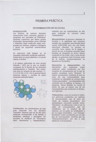 PRIMERA PRÁCTICA
DETERMINACIÓN DE GLUCOSA
3
INTRODUCCIÓN
Los hidratos de carbono llamados
comúnmente como: azucares, glúcidos o
sacáridos) son derivados de Polihidroxi-
alcoholes superiores que tienen grupos
funcionales representados como Cetonas
o Aldehidos estas moléculas están com-
puestas por carbono, oxigeno e hidrógeno
y tienen las siguientes características
químicas:
Su estructura está basada en un
esqueleto carbonado (molécula orgánica)
Puede tener un grupo aldehído o un grupo
cetona, ó ambos.
A la cadena carbonada se unen grupos
hidroxilo ( 0H) por lo que se pueden
considerar de la familia de los alcoholes
polihidroxilados o "polioles". Son moléc-
ulas ricas en enlaces de alta energía ( C-
H; C-C;C-OH; C=O) Por lo general tienen
isómeros ópticos y muchas de éstos
presentan actividad óptica.
Clasificación: los carbohidratos de bajo
peso molecular son los llamados
"azúcares" mientras que los de alto peso
molecular corresponden a las harinas o
almidones, celulosas y glucógeno. los
azucares se clasifican en "monosacá-
ridos", disacáridos" y "oligosacáridos",
mientras que los carbohidratos de alto
peso molecular se conocen como
"polisacáridos".
Monosacáridos: la glucosa o dextrosa, la
fructosa y la galactosa son azucares
simples que comparten una formula lineal
común (C6H1206) pero con una forma
estructural diferente. La glucosa es
conocida como azúcar de la sangre o
azúcar de uva, la fructosa conocida como
levulosa se encuentra en forma natural
contenida en las frutas, miel y savia de las
plantas. La galactosa está formando parte
de la lactosa, excepcionalmente se
presenta en forma libre.
Disacáridos y oligosacáridos: los
disacáridos son sustancias cuyas
moléculas están constituidas por dos
unidades de monosacárido por lo que se
pueden considerar como "dimeros". El
enlace característico mediante el cual se
unen los dos monosacáridos para
conformar un disacárido se conoce como
"enlace glucosídico". Los disacáridos más
comunes son la maltosa, la lactosa y la
sacarosa. Tienen también en común el
hecho de que, al menos uno de los
monosacáridos que conforman el dímero,
es D-glucosa.
Polisacáridos: como su nombre lo indica,
son polímeros constituidos por cadenas
de monosacáridos, que se unen por
medio de enlaces glucosidicos. Los
polisacáridos, conocidos también como:
"Glucanos", se diferencian entre sí por la
clase de monosacáridos que los
constituyen, por la longitud de las
cadenas, por el grado de ramificación y
por su origen biosintético. Los "homopo-
lisacáridos" están constituidos por un solo
tipo de monosacárido, mientras que los
"heteropolisacáridos", por dos o más
clases de monosacáridos.
 