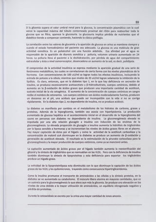 59
Si la glicemia supera el valor umbral renal para la glucosa, la concentración plasmática con la cual
vence la capacidad máxima del túbulo contorneado proximal del riñón para reabsorber toda la
glucosa que se filtra, aparece la glucosuria. La glucosuria implica pérdida de nutrientes que el
diabético tiende a compensar comiendo, haciendo la clásica polifagia.
La correlación entre los valores de glucemia y la aparición de glucosa en orina se mantiene siempre y
cuando el estado hemodinámico del paciente sea adecuado. La glucosa es una molécula de gran
actividad osmótica. Es un polialcohol con una función aldehído. Esa afinidad por el agua es
responsable de la aparición de diuresis osmótica y poliuria, volumen urinario aumentado en 24
horas, La poliuria lleva al paciente a la deshidratación, por pérdida de agua del compartimiento
extracelular y ésta a nivel osmorreceptor, desencadena un aumento de la sed, es decir, polidipsia.
El compromiso de la actividad insulínica se expresa mediante la aparición gradual de una serie de
fenómenos metabólicos, los cuales se correlacionan de cierta forma con los niveles plasmáticos de la
hormona. Con concentraciones de 100 uU/ml se logran todos los efectos insulínicos, incluyendo la
entrada de potasio a la célula; mientras que niveles de 20 uU/ml logran solamente la inhibición de la
lipólisis. Es claro, entonces, que en la diabetes tipo 1, en la que hay deficiencia en secreción de
insulina, se produzca excesivamente acetoacetato y (3-hidroxibutirato, cuerpos cetónicos, debido al
aumento en la (3-oxidación de ácidos grasos que producen una importante cantidad de acetilcoA,
sustrato inicial de la vía cetogénica. El aumento de la concentración de cuerpos cetónicos en sangre
recibe el nombre de cetonemia. Los cuerpos cetónicos son ácidos moderadamente fuertes, producen
un descenso en el pH, una acidosis que puede ser incompatible con la vida si no se corrige
rápidamente. En la diabetes tipo 2, no dependiente de insulina, no se produce acidosis.
La diabetes se manifiesta por cambios en el metabolismo de los hidratos de carbono, grasas y
proteínas. Además de la hiperglicemia, también sea asocia con hiperlipidemia. La producción
aumentada de glucosa hepática es el acontecimiento inicial en el desarrollo de la hiperglicemia del
ayuno en personas con diabetes no dependiente de insulina. La gluconeogénesis elevada es
impulsada por una alta relación glucagón a insulina con inducción de las enzimas de la
gluconeogénesis. La elevada proporción de glucagón a insulina aumenta la hidrólisis de triglicéridos
por la lipasa sensible a hormonas y se incrementan los niveles de ácidos grasos libres en el plasma.
Hay mayor captación de éstos por el hígado y como la actividad de la acetilcoA carboxilasa y la
concentración de malonil coA disminuyen en la diabetes se produce un aumento de (3-oxidación y
generación de acetilcoA elevada. El resultado es la estimulación de la piruvato carboxilasa para la
gluconecgénesis y la mayor producción de cuerpos cetónicos, como ya se mencionó antes.
La captación aumentada de ácidos grasos por el hígado también aumenta la reesterificación del
glicerol y la síntesis de triglicéridos que se reemsablan en las VLDL. Pero con la deficiencia de insulina
también disminuye la síntesis de lipoproteínas y esta deficiencia para exportar los triglicéridos
produce un hígado graso.
La actividad de la lipoproteinlipasa esta disminuida con lo que disminuye la captación de los ácidos
grasos de las VLDL y los quilomicrones, trayendo como consecuencia hipertrigliceridemia.
Como la insulina promueve el transporte de aminoácidos a las células y la síntesis proteica, en la
diabetes se ve aumentado su catabolismo. El músculo libera alanina en mayores cantidades, que es
un sustrato para la gluconeogénesis lo que eleva aun más la glicemia. Se produce una elevación en los
niveles de urea debido a la mayor utilización de aminoácidos, un equilibrio nitrogenado negativo y
pérdida de proteínas.
Durante la cetoacidosis se excreta por la orina una mayor cantidad de iones amonio.
 