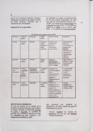 6
ocurrir en el proceso contrario, la gluco-
neogénesis (síntesis de glucógeno a partir
de ácido pirúvico); mientras que 3
reacciones son irreversibles.
Regulación de la glucólisis
La glucólisis se regula enzirnáticamente
en los tres puntos irreversibles de esta
ruta, esto es, en la primera reacción (G --
>G-6P), por medio de la Hexociuinasa; En
la t ce-reacción (F-6P —> F-1 ,6-BP) por
medio de ¡a £EKL y en el último paso
(PEP --> Piruvato) por la Piruvatopuinasa.
Hormonas que regulan la glucó'isis
Hormona Tejido de Estructura Tejido Acción Primaria Regulación
origen Diana
Insulina Páncreas Proteína Todos los Incrementa la Niveles altos de
células tejidos captación de glucosa y
(excepto el glucosa y aminoácidos y la
tejido aminoácidos presencia de
nervioso) por las células kgón
incrementan la
secreción; la
somatostatina
inhibe la
secreción.
Glucagón Páncreas Proteína 5tLrnula la js Qi1es de
Células grasa glucogejá y
11Esa en el
gç9a en
incrementan la
hígado: ijisis. secreción
Noradrenal Células Derivados de La mayoría Incremente la La estimulación
ma y cromafines iíiñóTdos de las actividad cardíaca; simpática, vía
adrenalina de la (catecolaminas) clu!as. induce nervios
médula vasoconstricción; esplácnicos,
adrenal incremente la inéremérita la
- gllçjisis, la secreción.
hrgItçcmJ y la
Jjpój.
Glucocortic Corteza Esteroides La mayoría Estimulan la El estrés
oides suprarrenal de las movilizaciÓn de
-
jgIgico; los
células aminoácidos en el relojes biológicos
músculo y la vía CRH y ACTH
Gluconeogériesis en
el hígado para elevar
lag!içosa sanguínea;
tienen acción
IMPORTANCIA BIOMEDICA
El nivel de glucosa en la sangre es la
cantidad de glucosa (azúcar) que contiene
la sangre, también se denomina glucosa
ersi.iro y gia. La cantidadde
glucosa que contieñe-Ta sangre se mide
en rnüimoles_,par..jitro (mmolIl) o en
mjtigrarnos PQÍ eçilitro (mg/dl)
Las personas con diabetes se
caracterizan por tener niveles de gluccsa
m altos deeolo normal.
Pueden njoficar los valores de
-g1ucmia y no ser por una diabetes
ciertas situaciones:
 