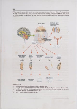 70
Así pues, podemos concluir que las hormonas son sustancias esenciales para el buen funcionamiento
de todo el organismo y que éstas deben ser segregadas en mínimas y precisas cantidades, pues tanto
su deficiencia, por más pequeña que sea, como un aumento, podrían alterar el equilibrio de toda la
economía.
LI ø.NI
IPOTALAMO
pc.id
¡01 taoo'.s. *D «M~
ht*.siiutu*a&
N
/ ¿4iig
•,t•
/
t41a*4Ç10*f14
1. U
ADEl4I4lPO)SlS vil l. P4EUOePjVlSI
, -
/í ±lIs.a0e NWII .siubt ________
ACTO T$H GH FSH LTN
/1-
é i 1
P01c1 — Mi4a
C-L t*0
BIBLIOGRAFIA
1. Harrison. PRINCIPIOS DE MEDICINA INTERNA. 17 0 edición. 2009.
2. GeorgeS. et al. AUTOIMMUNE POLVENDOCRINE SYNDROMES. The New England Journal of Medicine. 2004.
3. Brandam Nora. y otros. HORMONAS HIPOTÁLAMO-HIPOFISARIAS. Universidad Nacional del Nordeste.
Facultad de Medicina. Cátedra de Bioquímica. 2002.
4. Laura F. Escuder. SISTEMA ENDOCRINO. 2004
 
