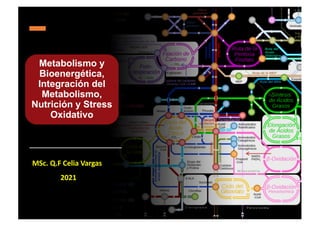 Metabolismo y
Bioenergética,
Integración del
Metabolismo,
Nutrición y Stress
Oxidativo
MSc. Q.F Celia Vargas
2021
 