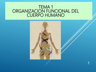 TEMA 1
ORGANIZACION FUNCIONAL DEL
CUERPO HUMANO
1
 