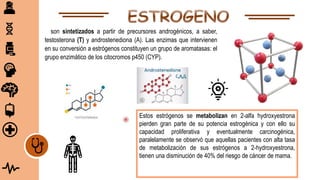 son sintetizados a partir de precursores androgénicos, a saber,
testosterona (T) y androstenediona (A). Las enzimas que intervienen
en su conversión a estrógenos constituyen un grupo de aromatasas: el
grupo enzimático de los citocromos p450 (CYP).
Estos estrógenos se metabolizan en 2-alfa hydroxyestrona
pierden gran parte de su potencia estrogénica y con ello su
capacidad proliferativa y eventualmente carcinogénica,
paralelamente se observó que aquellas pacientes con alta tasa
de metabolización de sus estrógenos a 2-hydroxyestrona,
tienen una disminución de 40% del riesgo de cáncer de mama.
 
