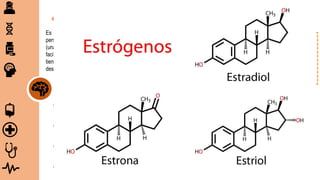 Es la hormona sexual más famosa entre las mujeres y
personas que menstrúan. Se hace a partir del colesterol
(una molécula de grasa) en el cuerpo. Las hormonas
facilitan la comunicación entre las células de todo el cuerpo,
tienen receptores de estrógeno, funciones que se activan o
desactivan al contacto con esta hormona.
 ¿Qué hace el estrógeno por
el cuerpo?
Desencadena el ciclo menstrual y el desarrollo de las
características sexuales secundarias (el desarrollo de los senos
y el crecimiento del vello púbico) que se dan en la pubertad.
Pero eso no es todo: el estrógeno también tiene un papel en
otras funciones, desde la salud ósea hasta la función cognitiva y
mucho más.
 Estrona (E1): Se produce principalmente en los tejidos grasos, pero también en los ovarios y la placenta, este es un estrógeno
débil.
 Estradiol (E2): Es el tipo más activo de los estrógenos y tiene influencia sobre el ciclo menstrual, este tipo de estrógeno forma
un enlace fuerte con los receptores de estrógeno, cuando hablamos de “estrógeno” en Clue, principalmente nos referimos a
este tipo.
 Estriol (E3): Este es el estrógeno principal durante el embarazo, se produce principalmente y es secretado por la placenta (con
la ayuda del feto), alrededor de cinco semanas después de la implantación, este también es un tipo débil de estrógeno.
 Estetrol (E4): Este tipo de estrógeno solo se produce durante el embarazo, en el hígado del feto.
♥ cuatro tipos principales de estrógeno
 