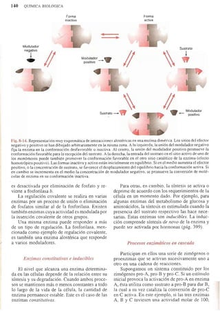 Bioquimica -Antonio Blanco-