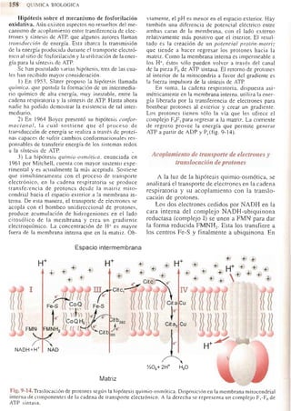 Bioquimica -Antonio Blanco-