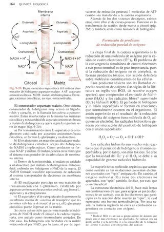 Bioquimica -Antonio Blanco-