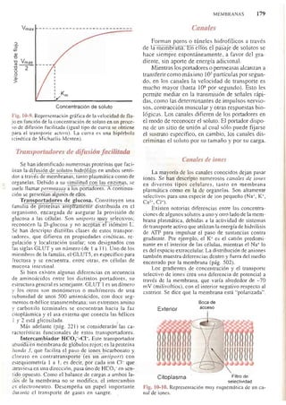 Bioquimica -Antonio Blanco-