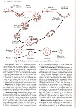 Bioquimica -Antonio Blanco-