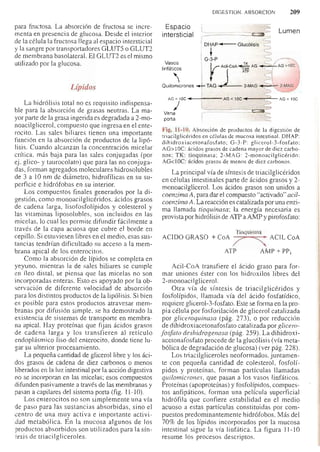 Bioquimica -Antonio Blanco-