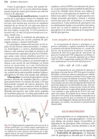 Bioquimica -Antonio Blanco-