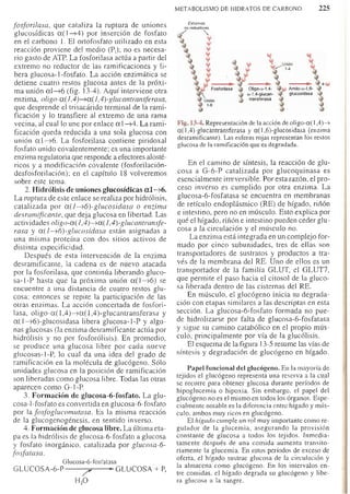 Bioquimica -Antonio Blanco-