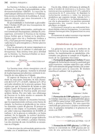 Bioquimica -Antonio Blanco-