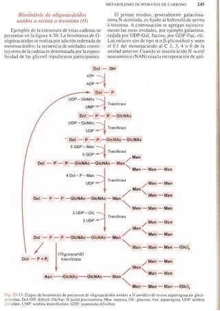 Bioquimica -Antonio Blanco-
